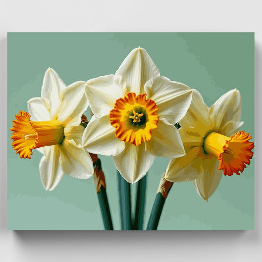 White Daffodils with Orange Centers - Paint by Numbers Kit