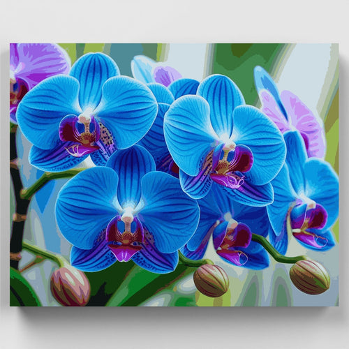 Vibrant Blue Orchid Cluster - Paint by Numbers Kit