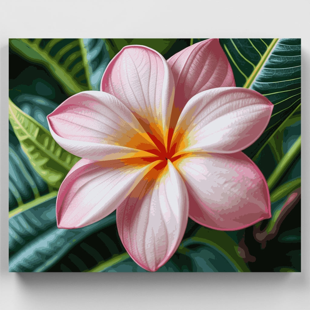 Kit de pintura por números - Flor tropical Plumeria rosa — Estándar