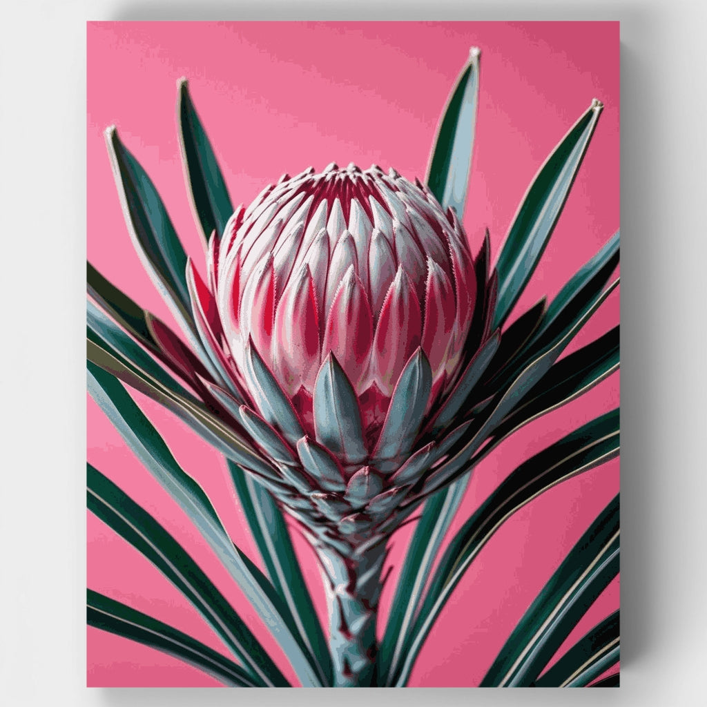 Pink Protea Flower - Paint by Numbers Kit