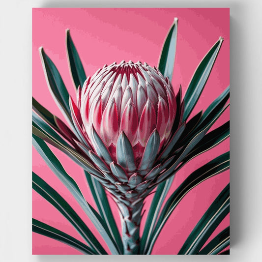 Pink Protea Flower - Paint by Numbers Kit