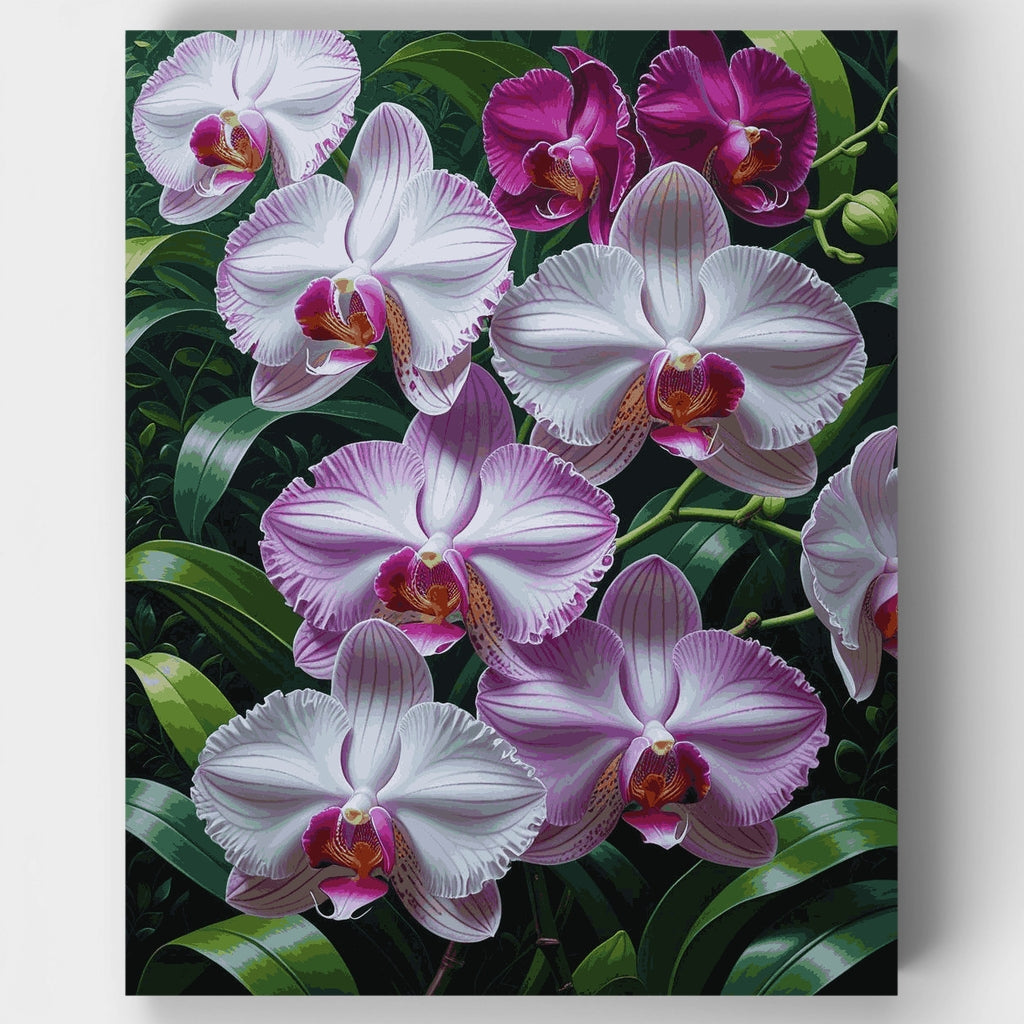 Orquídeas moradas y blancas - Kit de pintura por números — Estándar