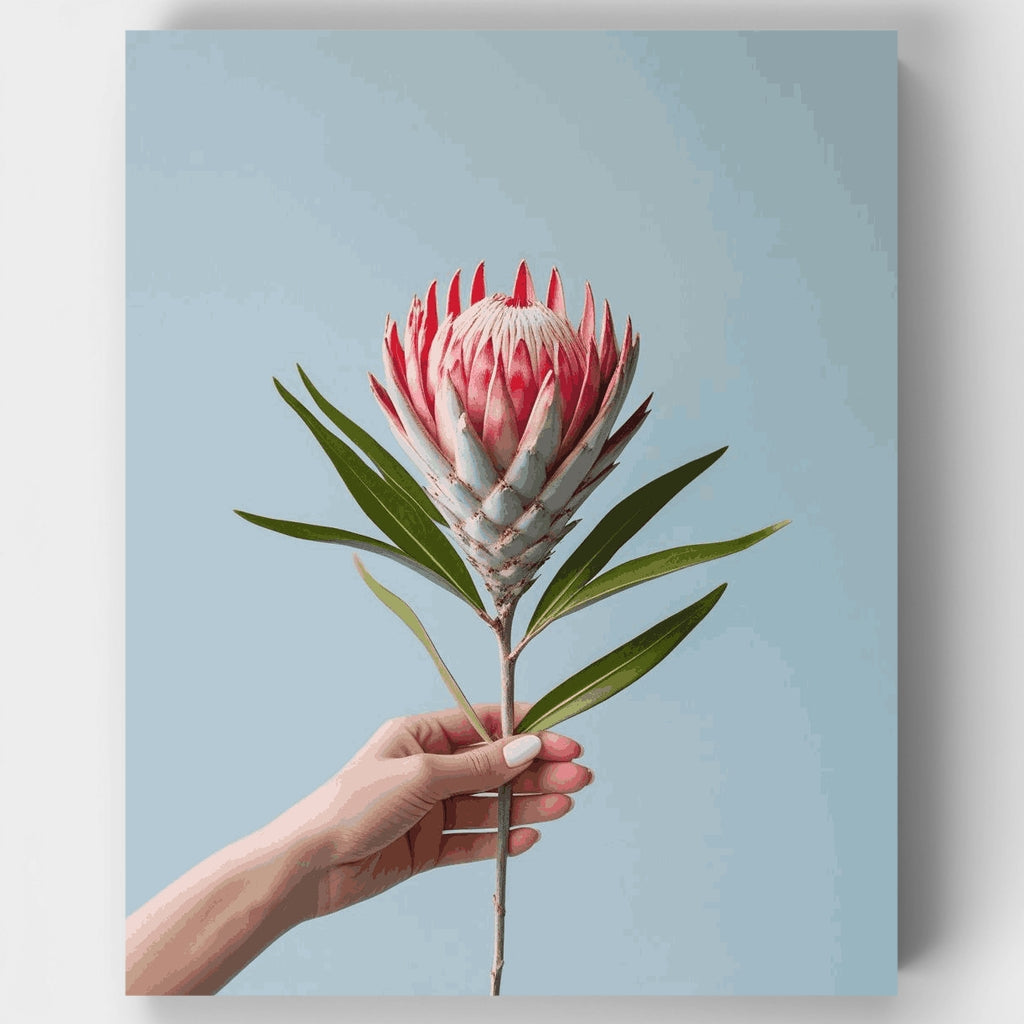 Kit de pintura por números: Flor de protea rosa en mano — Estándar