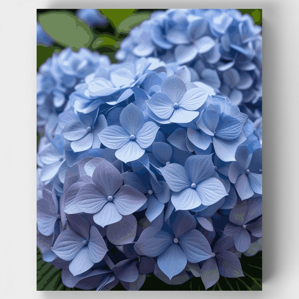 Blue Hydrangeas Garden Blooms - Paint by Numbers Kit