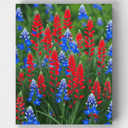 Red and Blue Wildflower Field - Paint by Numbers Kit