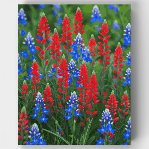 Red and Blue Wildflower Field - Paint by Numbers Kit