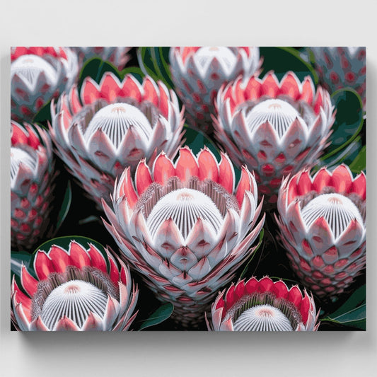 Pink Protea Flowers - Paint by Numbers Kit