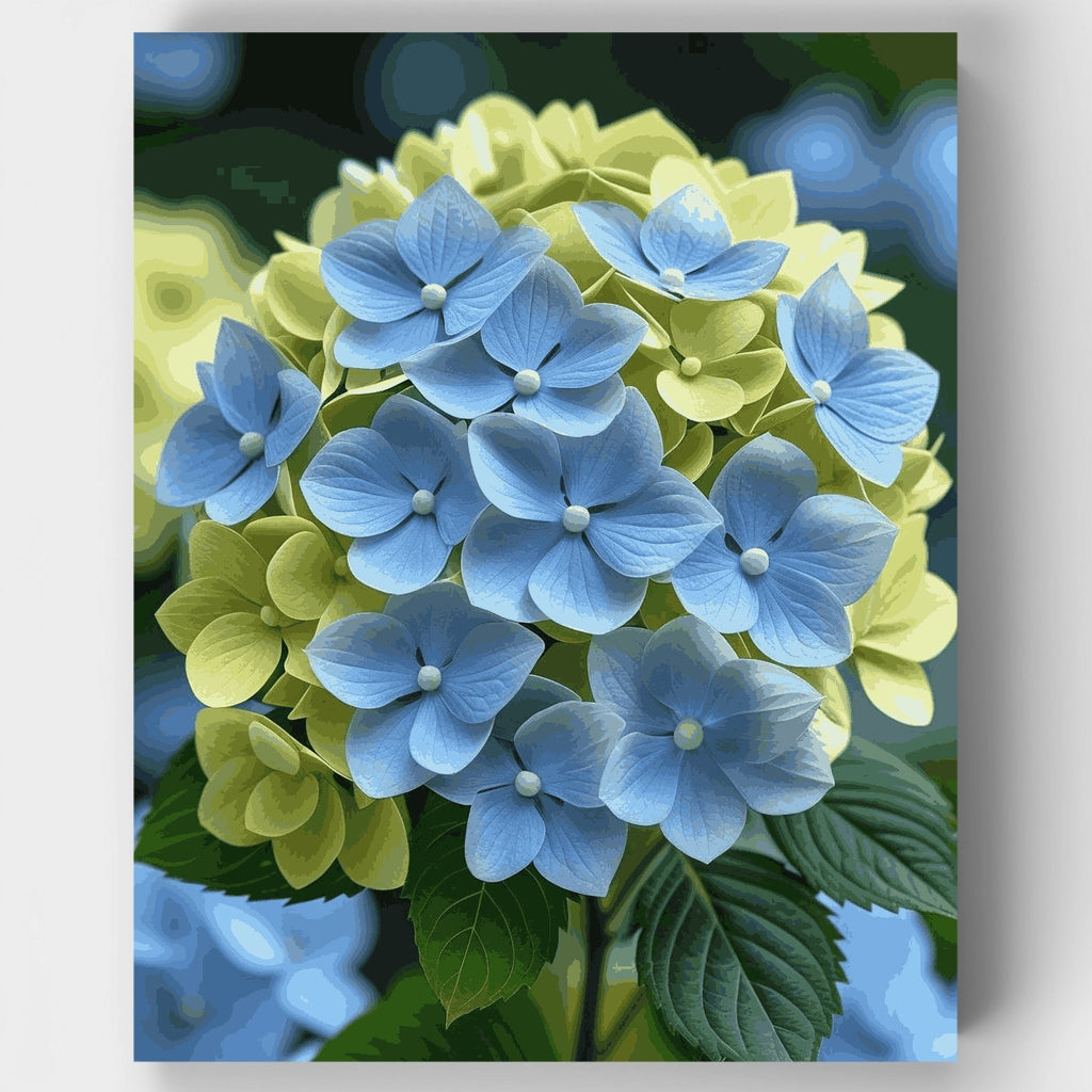 Kit de pintura por números: Flores de hortensia azules y amarillas — Estándar