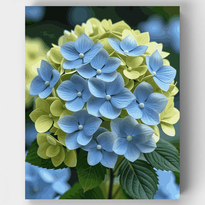 Blue and Yellow Hydrangea Blooms - Paint by Numbers Kit