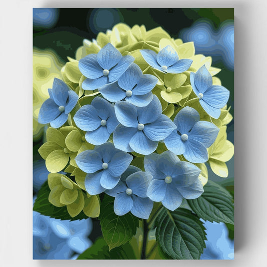 Blue and Yellow Hydrangea Blooms - Paint by Numbers Kit
