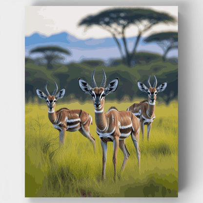 African Safari Antelopes - Paint by Numbers Kit