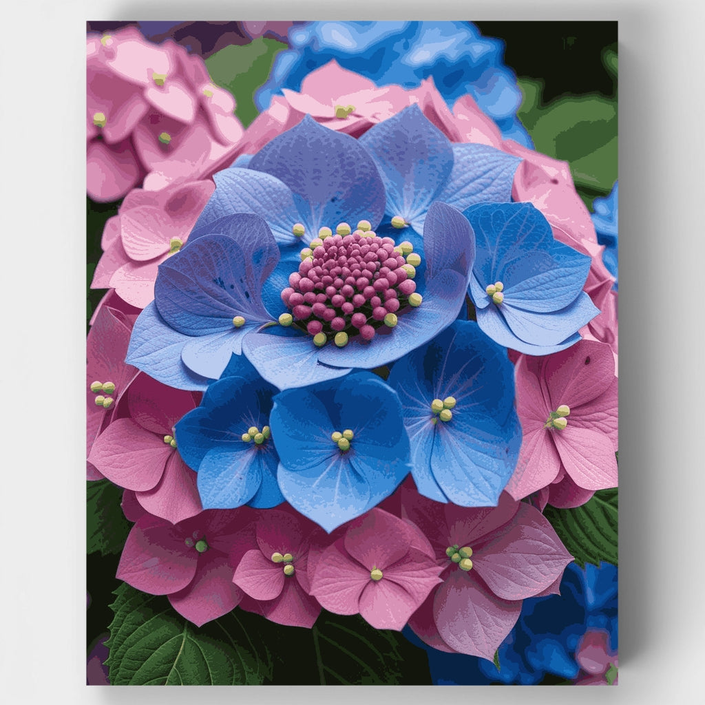 Vibrant Blue and Pink Hydrangeas - Paint by Numbers Kit