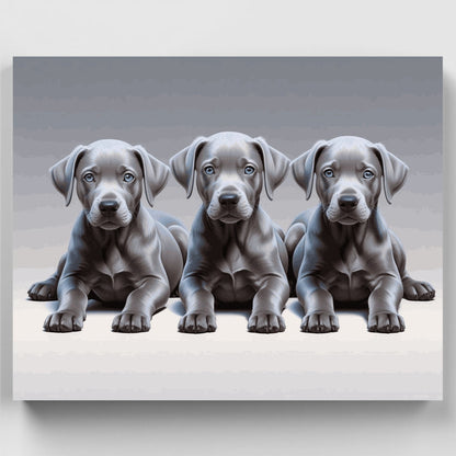 Three Gray Puppies - Paint by Numbers Kit