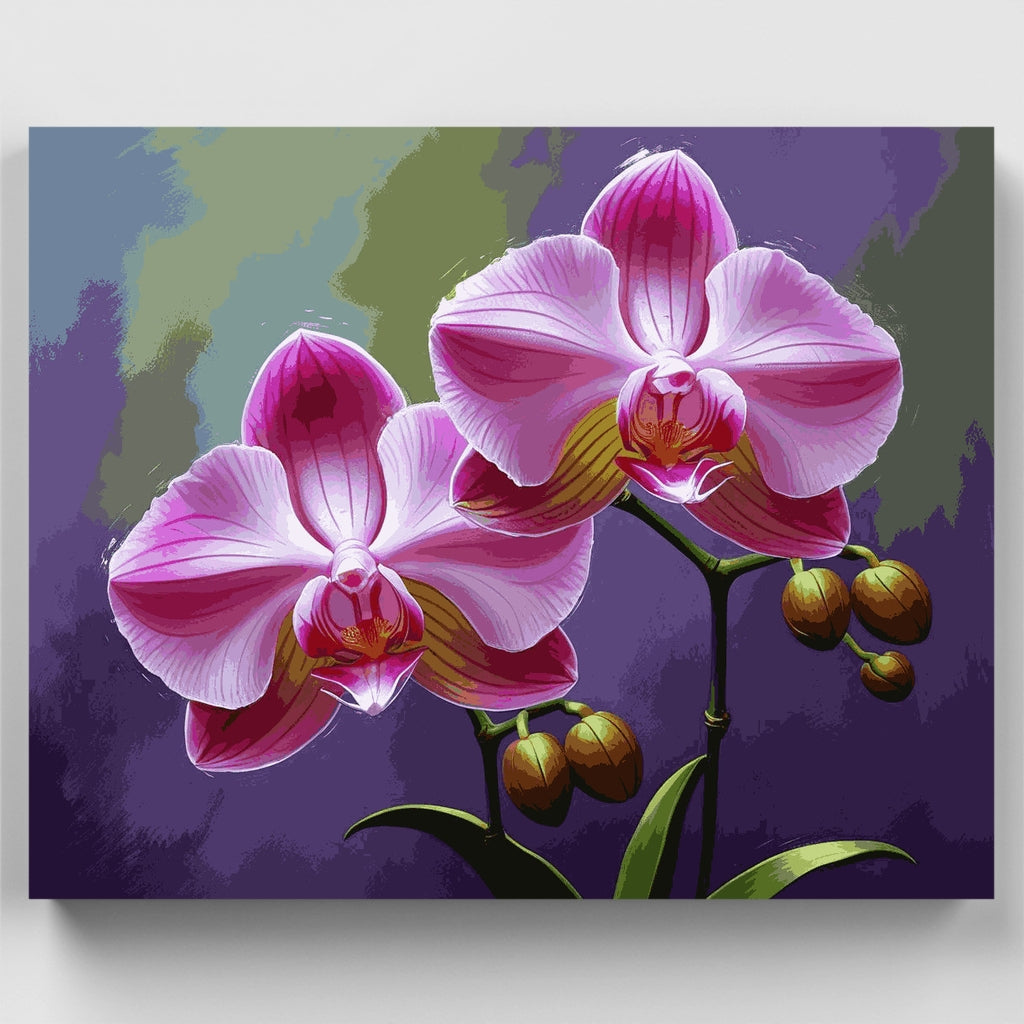 Orquídeas rosas - Kit de pintura por números — Estándar