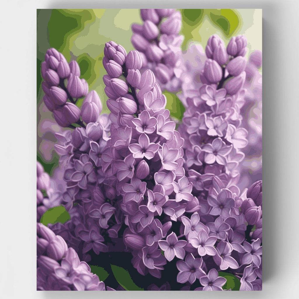 Fragrant Lilac Clusters - Paint by Numbers Kit
