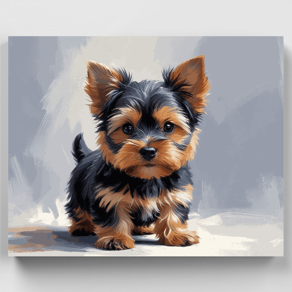 Cachorro Yorkie adorable con pelaje sedoso - Kit de pintura por números — Estándar