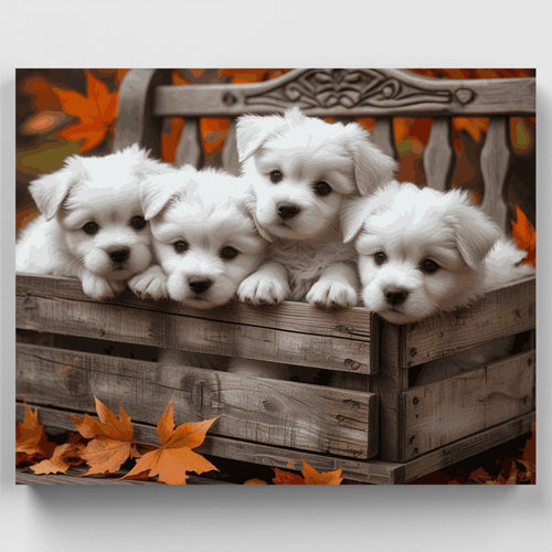 Adorable White Puppies in Autumn Setting - Paint by Numbers Kit
