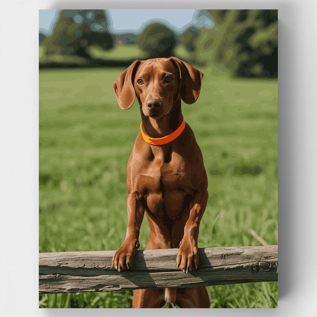 Dachshund Dog Portrait - Paint by Numbers Kit