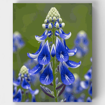 Blue Lupine Wildflower - Paint by Numbers Kit