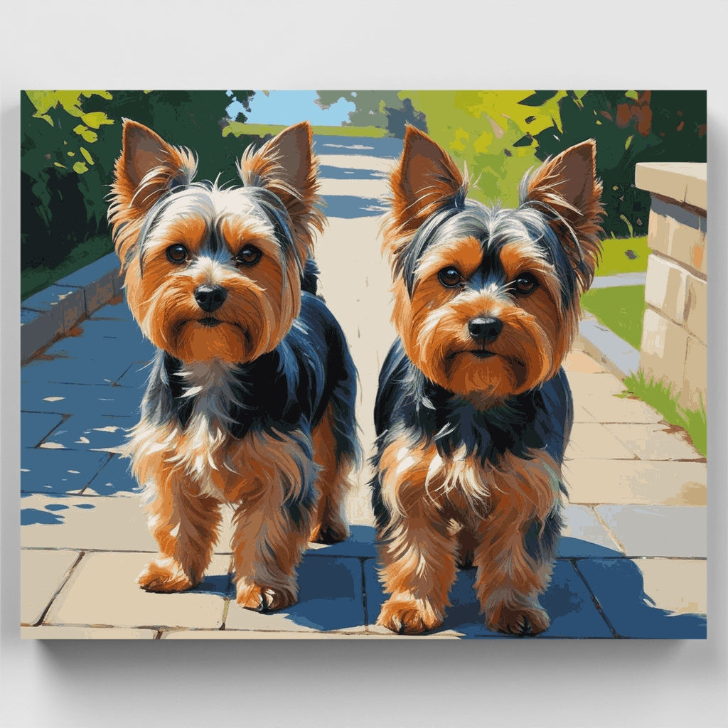 Two Adorable Yorkshire Terriers - Paint by Numbers Kit