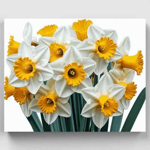 White Daffodils with Golden Trumpets - Paint by Numbers Kit