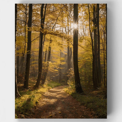 Golden Forest Path - Paint by Numbers Kit