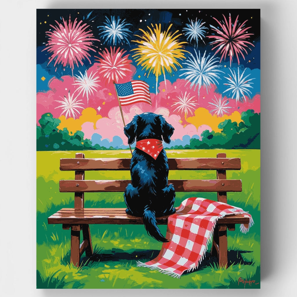 Kit de pintura por números: Perro patriótico viendo fuegos artificiales — Estándar