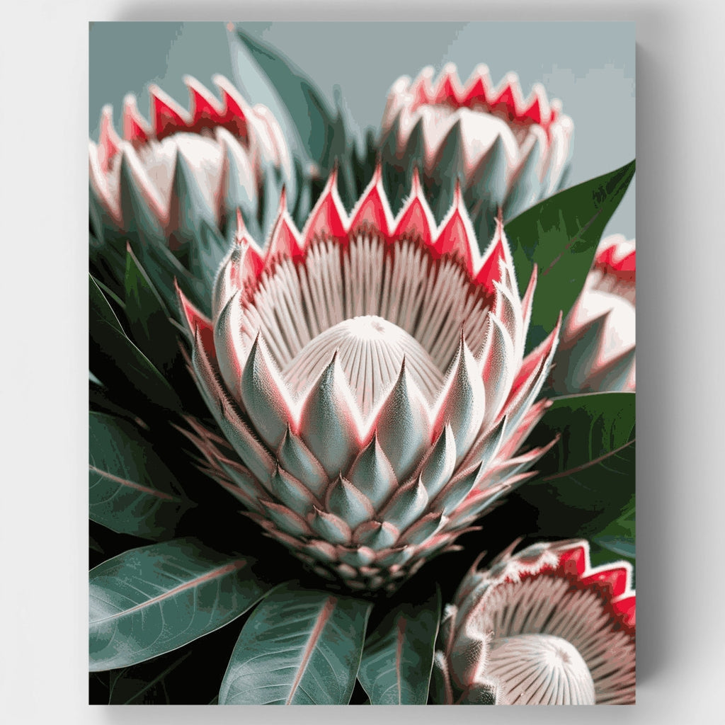 Flores Protea - Kit de pintura por números — Estándar