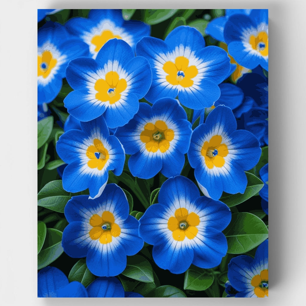 Flores azules - Kit de pintura por números — Estándar