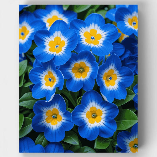 Blue Flowers - Paint by Numbers Kit