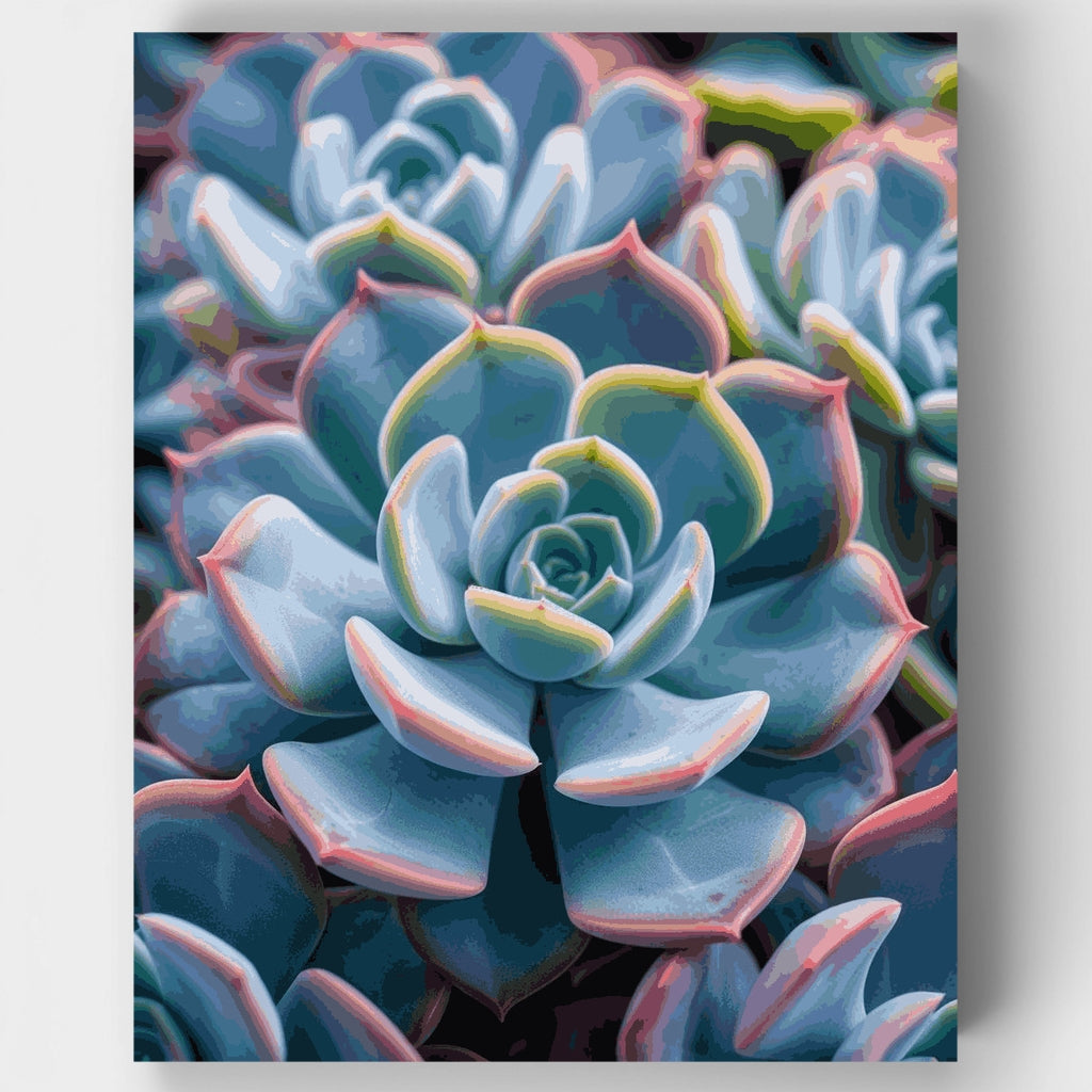 Dreamy Blue Succulent Rosettes - Paint by Numbers Kit
