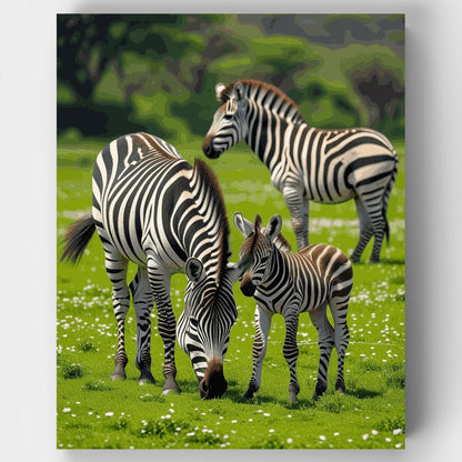 Zebra Family in Serengeti Grasslands - Paint by Numbers Kit
