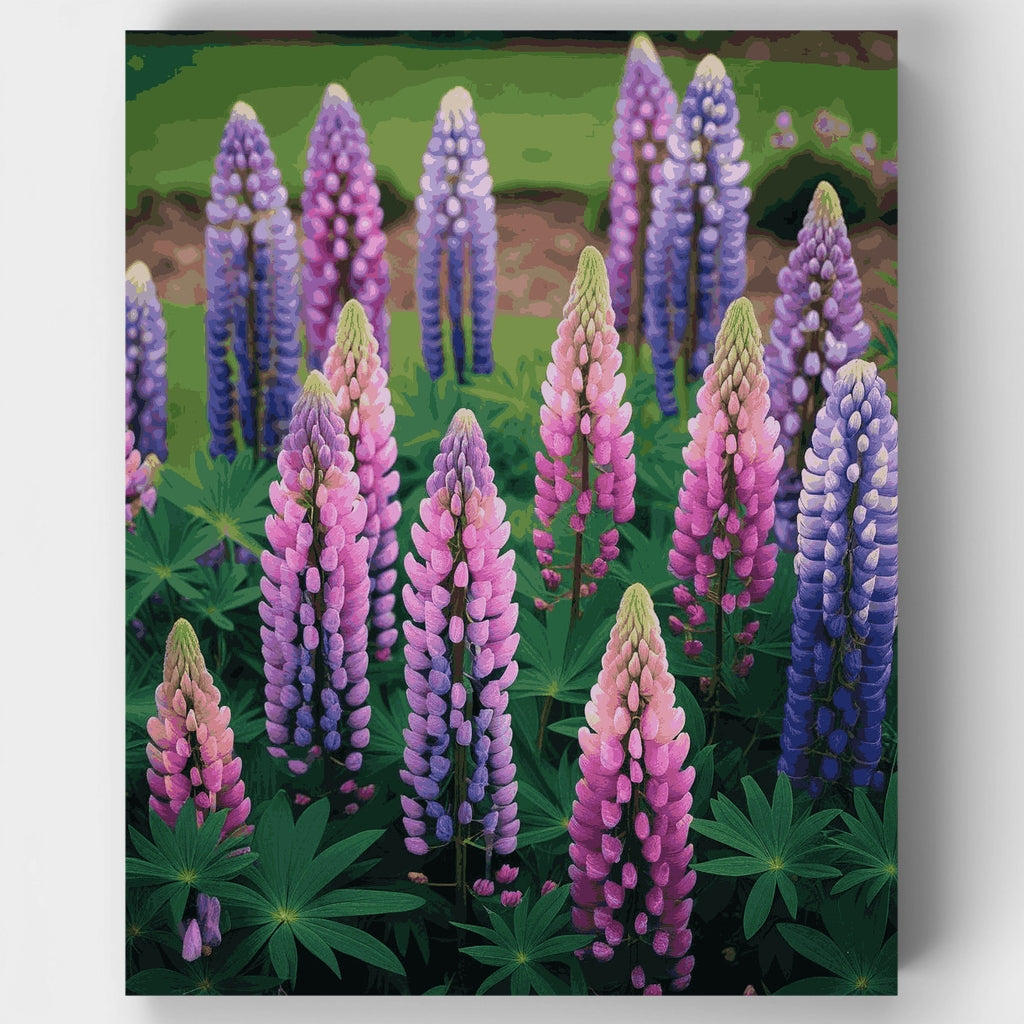 Flores de lupino - Kit de pintura por números — Estándar