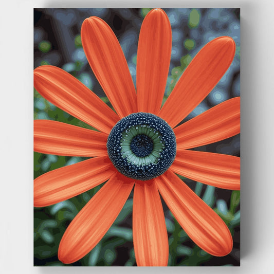Orange Daisy with Intricate Blue Center - Paint by Numbers Kit