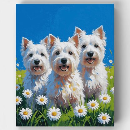 Three Happy Westies in Daisy Field - Paint by Numbers Kit