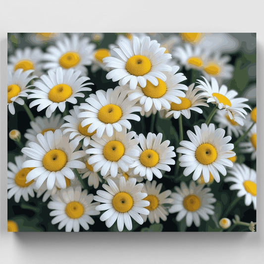 White Daisies Garden - Paint by Numbers Kit