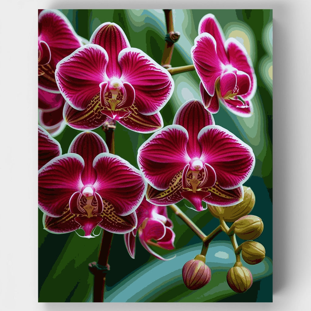 Vibrant Purple Orchids - Paint by Numbers Kit