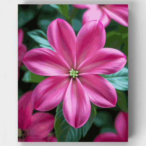 Pink Tropical Flowers - Paint by Numbers Kit