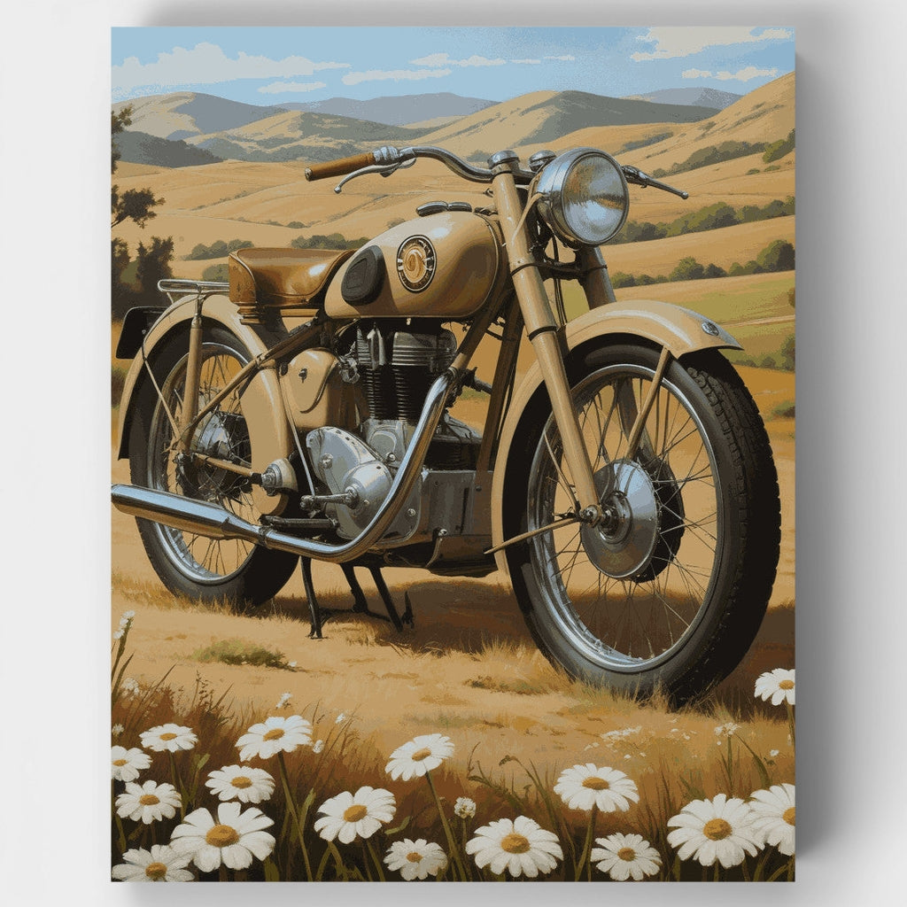 Motocicleta clásica con margaritas - Kit de pintura por números — Estándar