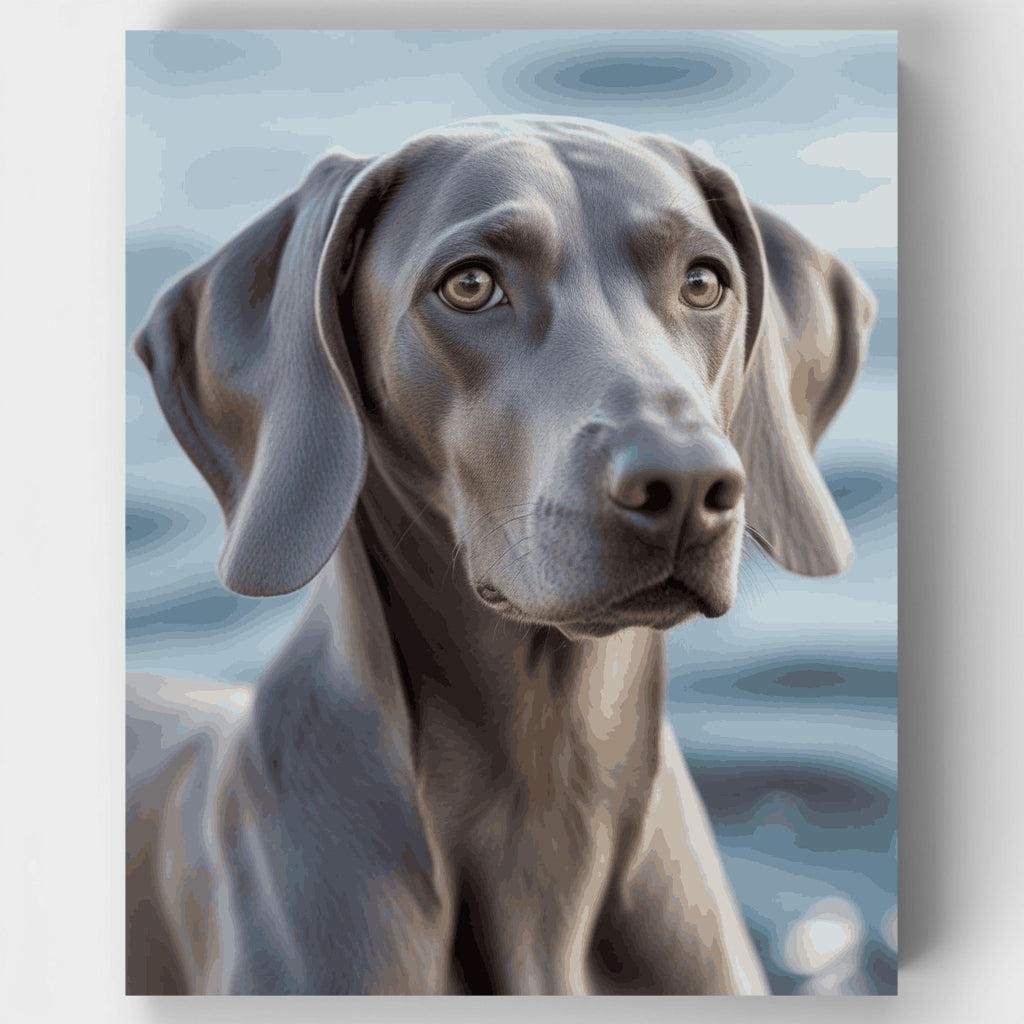 Gray Weimaraner with Soulful Eyes - Paint by Numbers Kit