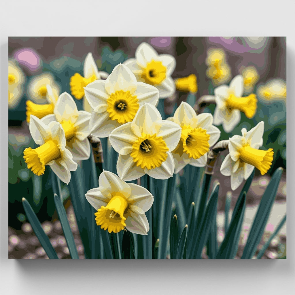 Daffodils - Paint by Numbers Kit