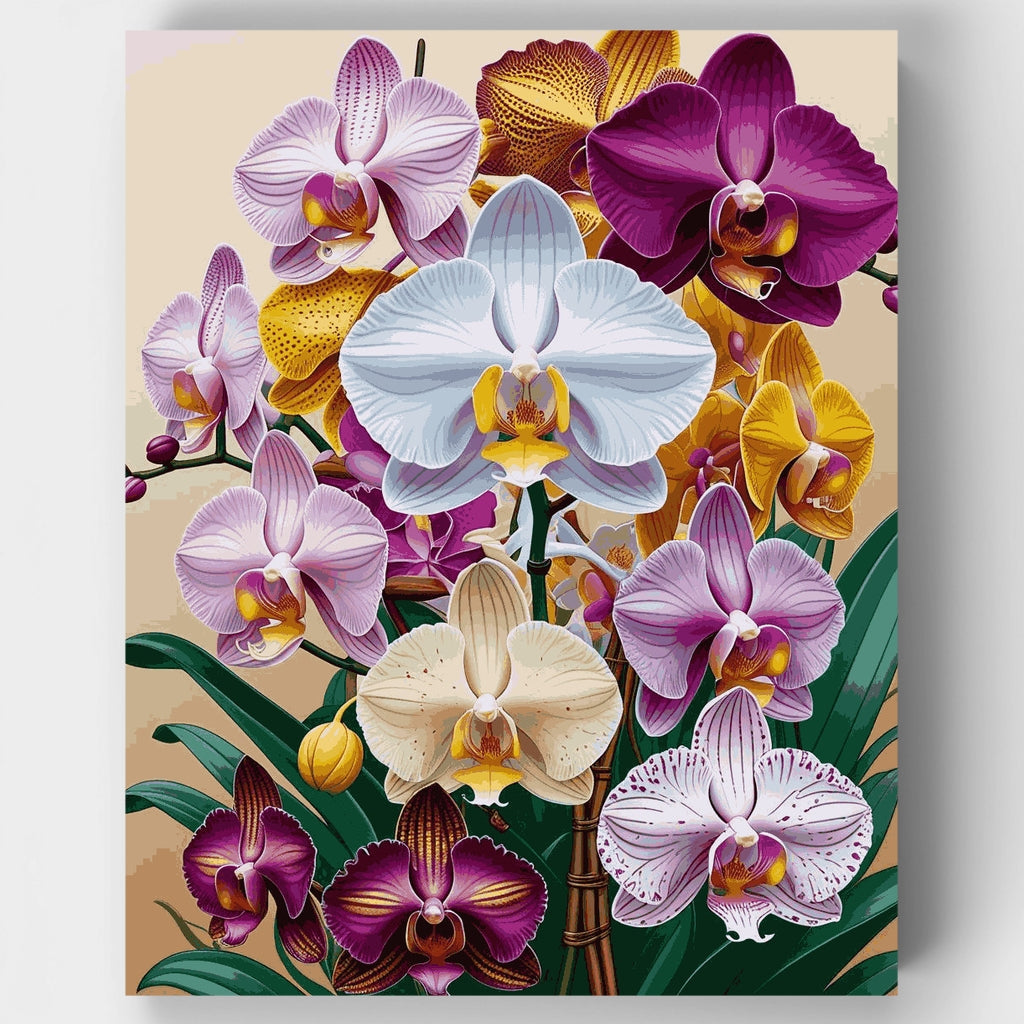 Colección Orquídea Vibrante - Kit de pintura por números — Estándar