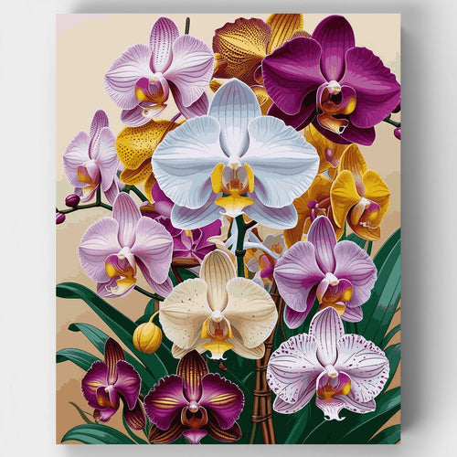 Vibrant Orchid Collection - Paint by Numbers Kit