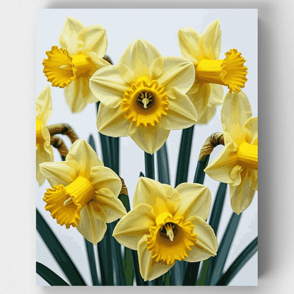 Bright Yellow Daffodils - Paint by Numbers Kit