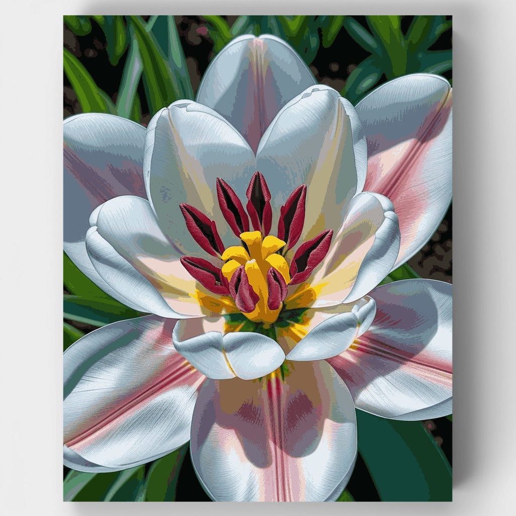 White Tulip Bloom - Paint by Numbers Kit