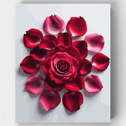 Red Rose with Scattered Petals - Paint by Numbers Kit