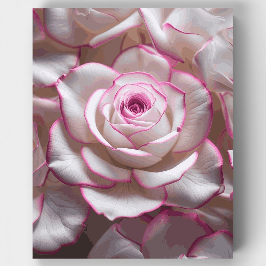 Rosa elegante con bordes rosados: Kit de pintura por números — Estándar