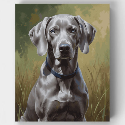 Weimaraner in Blue Collar Outdoor Portrait - Paint by Numbers Kit